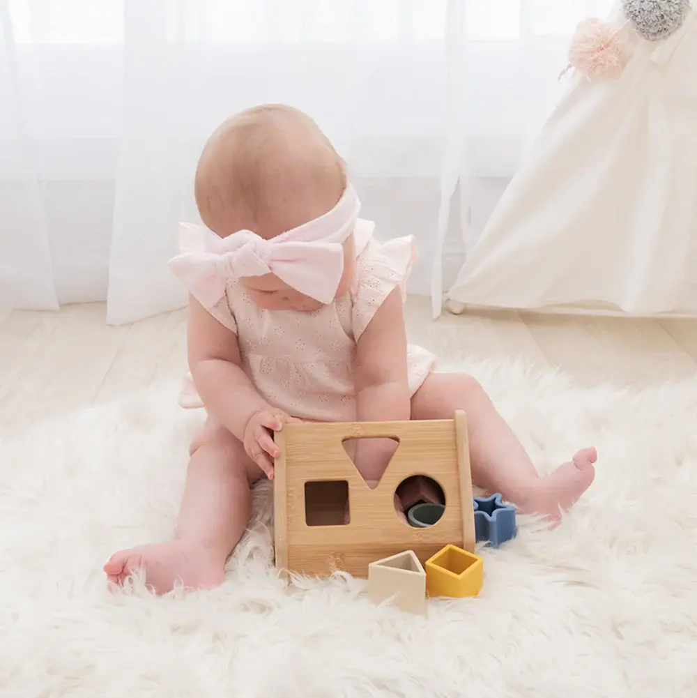 Playground Playground House Shape Sorter