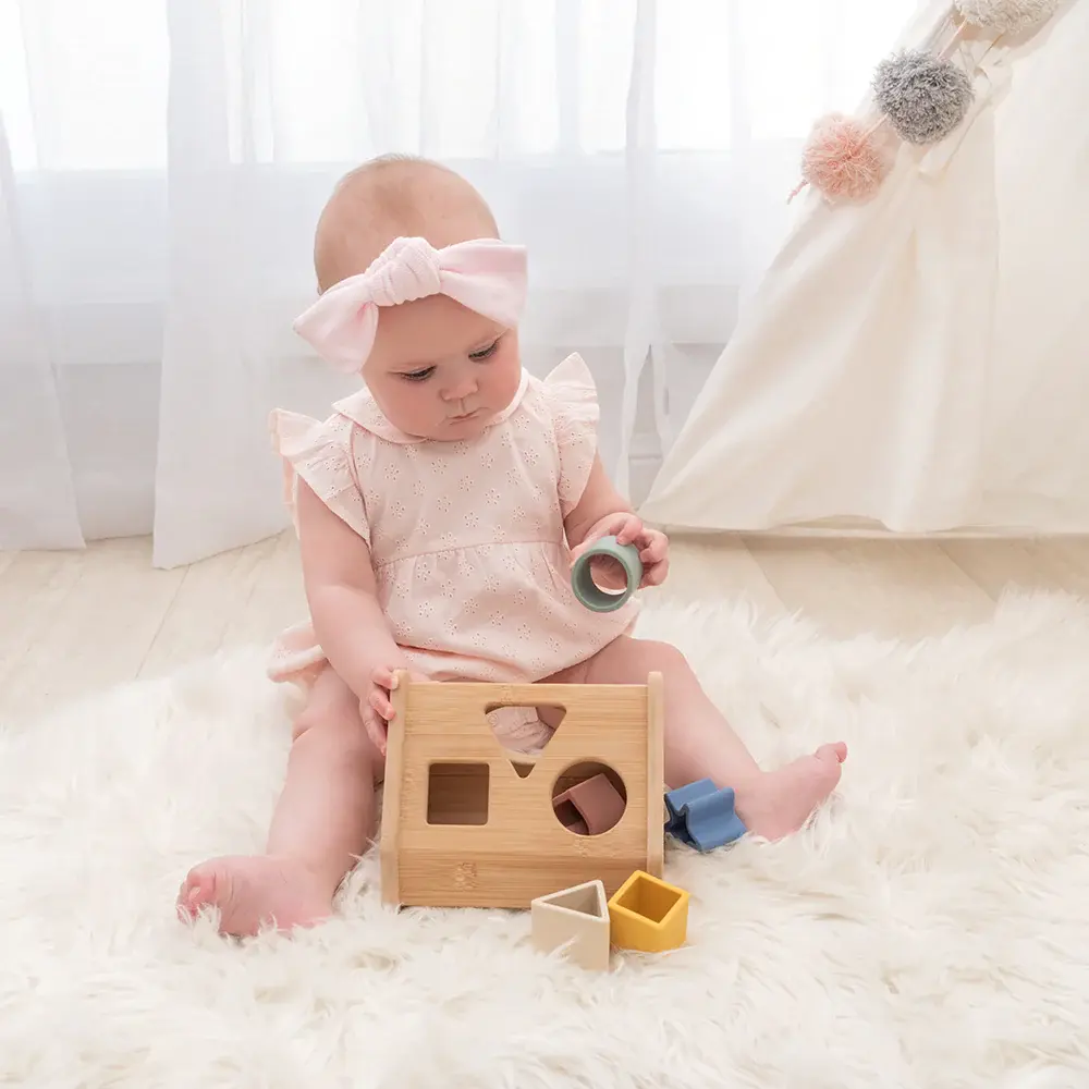 Playground Playground House Shape Sorter