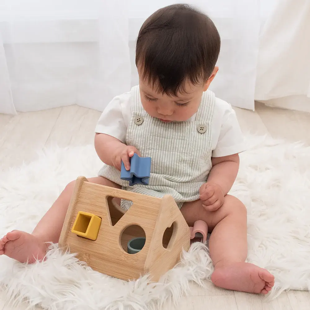 Playground Playground House Shape Sorter