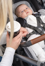 UPPABaby UPPAbaby Cruz V3