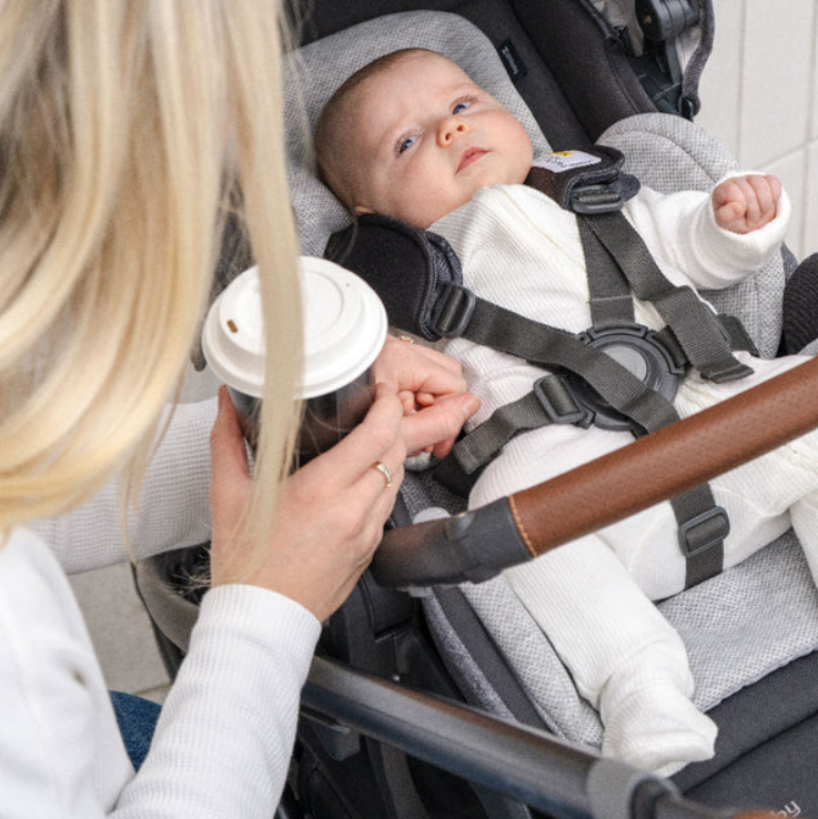UPPABaby UPPAbaby Cruz V3