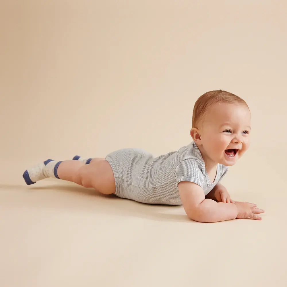 Wilson & Frenchie Wilson & Frenchie Organic 3 Pack Baby Socks - Rain Drop - Cotton Nylon Knit