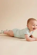 Wilson & Frenchie Wilson & Frenchy Organic Stripe Rib Bodysuit - Fern