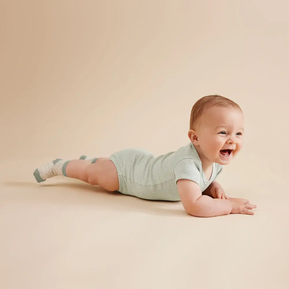 Wilson & Frenchie Wilson & Frenchie Organic Stripe Rib Bodysuit - Fern