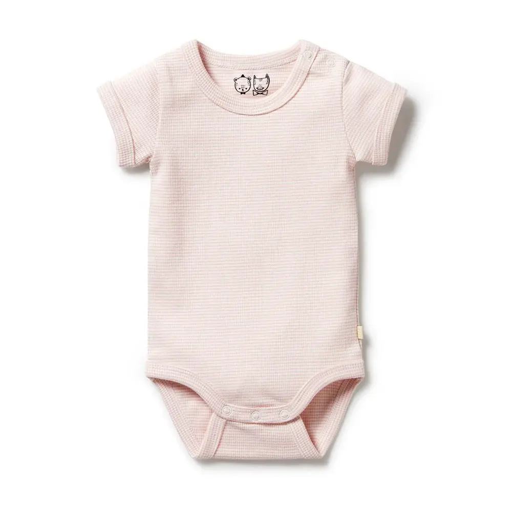 Wilson & Frenchie Wilson & Frenchy Organic Stripe Rib Bodysuit - Cantaloupe