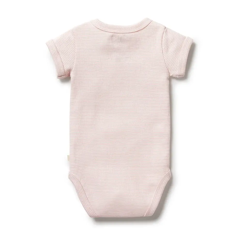 Wilson & Frenchie Wilson & Frenchie Organic Stripe Rib Bodysuit - Cantaloupe