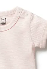 Wilson & Frenchie Wilson & Frenchy Organic Stripe Rib Bodysuit - Cantaloupe