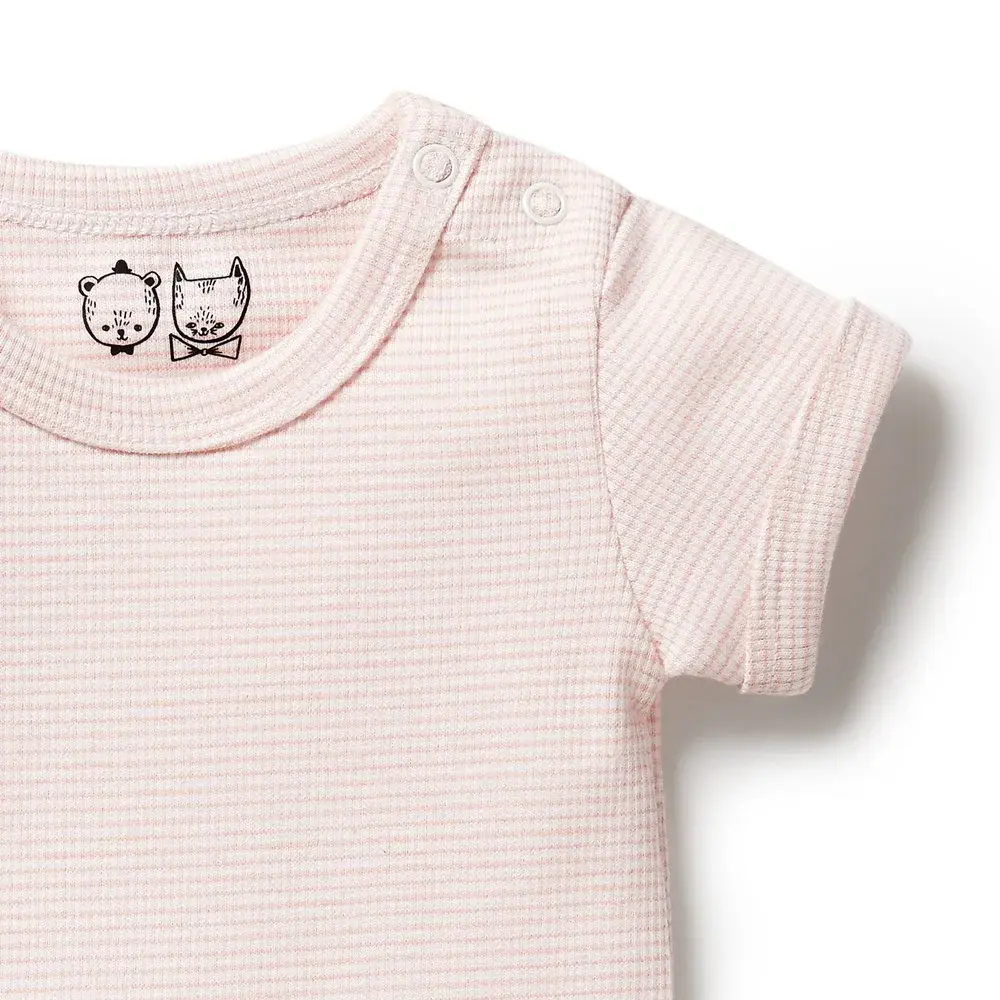 Wilson & Frenchie Wilson & Frenchie Organic Stripe Rib Bodysuit - Cantaloupe