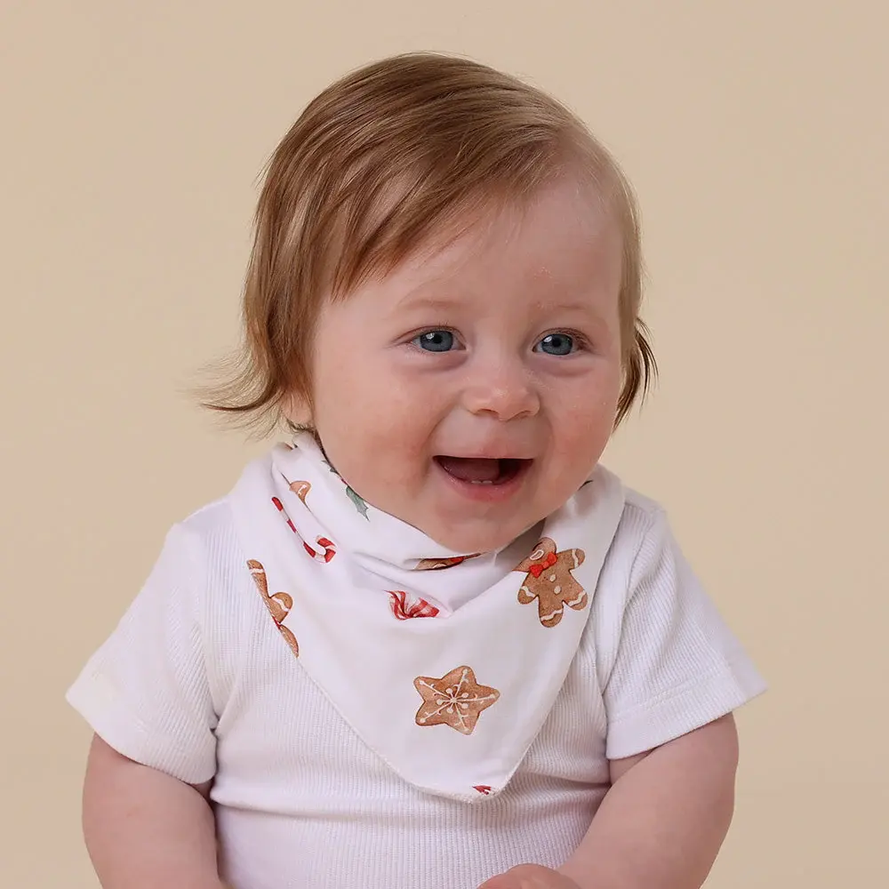 Snuggle Hunny Kids Snuggle Hunny Gingerbread Organic Dribble Bib
