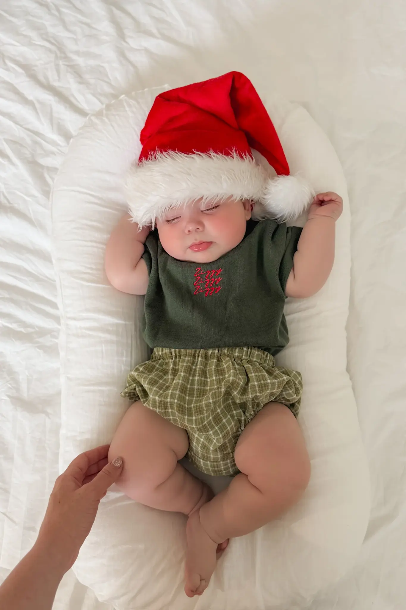 Ziggy Lou Ziggy Lou Signature Tee Fir