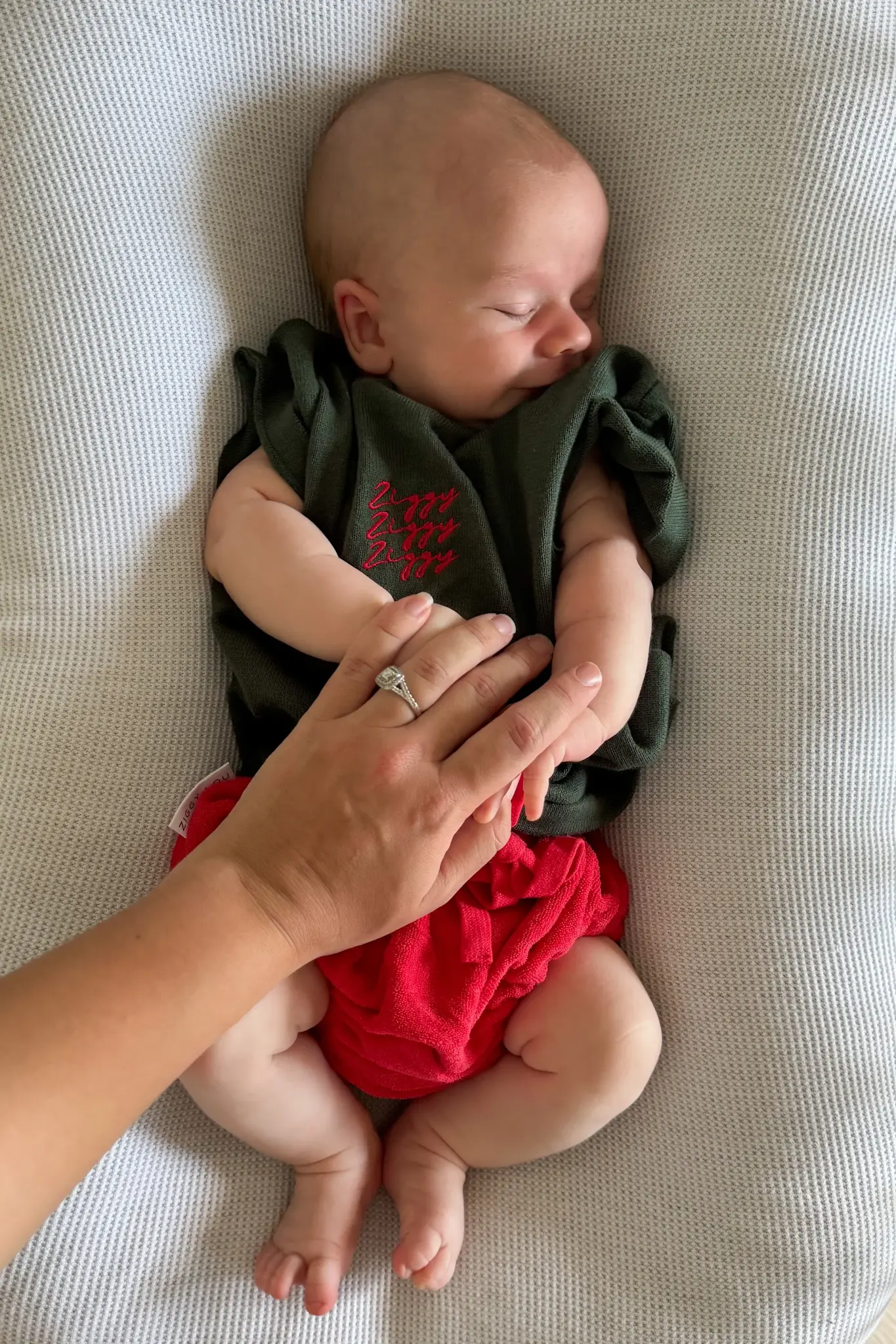 Ziggy Lou Ziggy Lou Signature Tee Fir