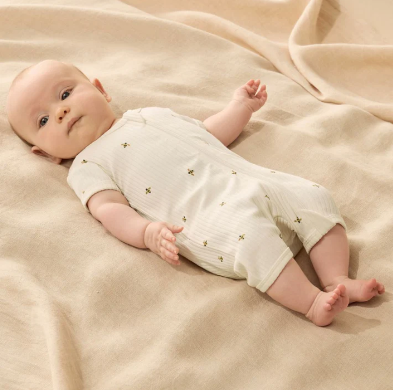 Wilson & Frenchie Wilson and Frenchy Bee Mine Organic Boyleg Zipsuit