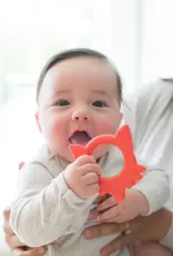 Dr Browns Dr Brown's Flexees Friends Teether