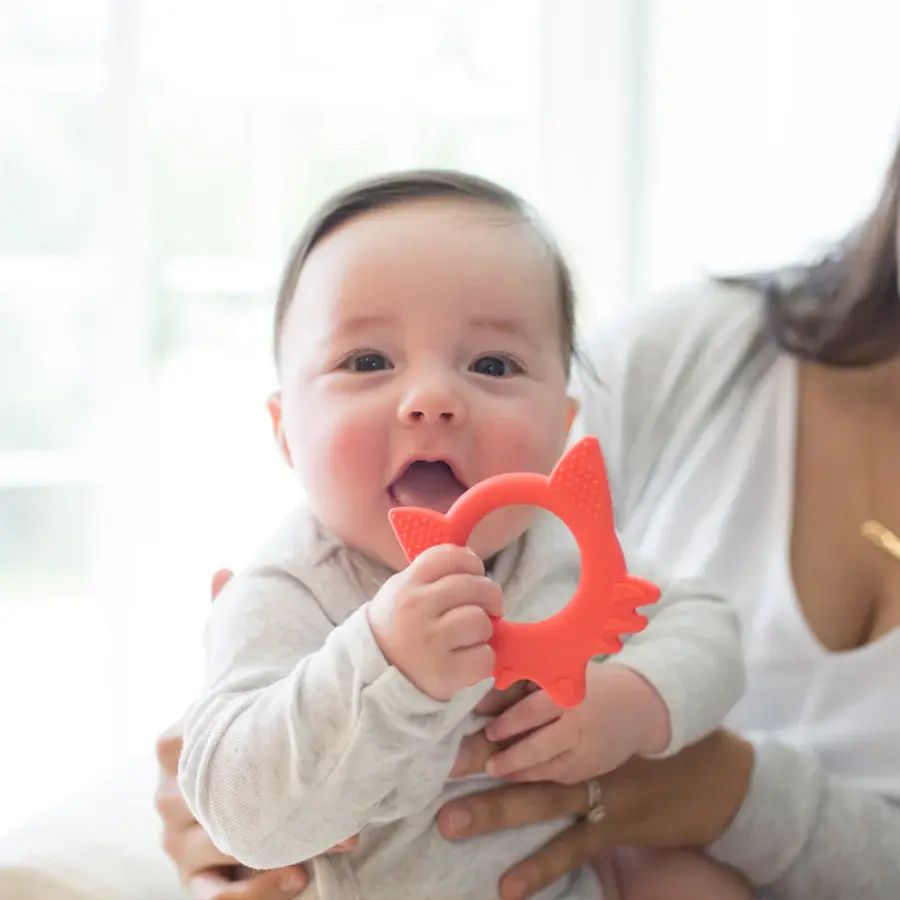 Dr Browns Dr Brown's Flexees Friends Teether