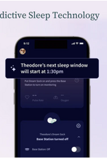 Owlet Owlet Dream Sock