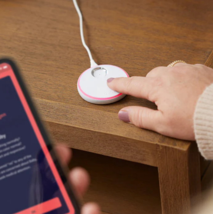 Owlet Owlet Dream Sock and Cam 2 Duo