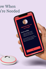 Owlet Owlet Dream Sock and Cam 2 Duo