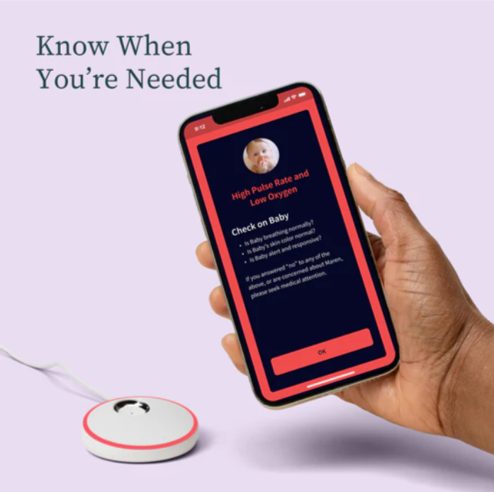 Owlet Owlet Dream Sock and Cam 2 Duo