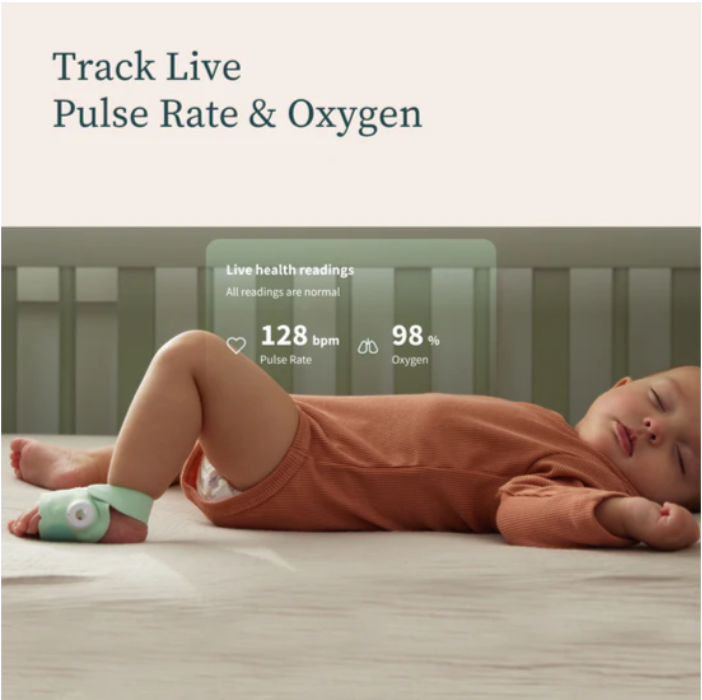 Owlet Owlet Dream Sock and Cam 2 Duo