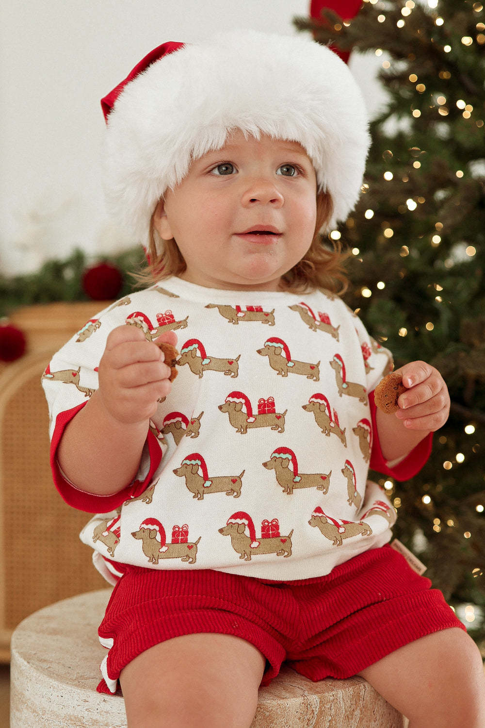 Indigo Dreams Indigo Dreams Santa Paws Tee