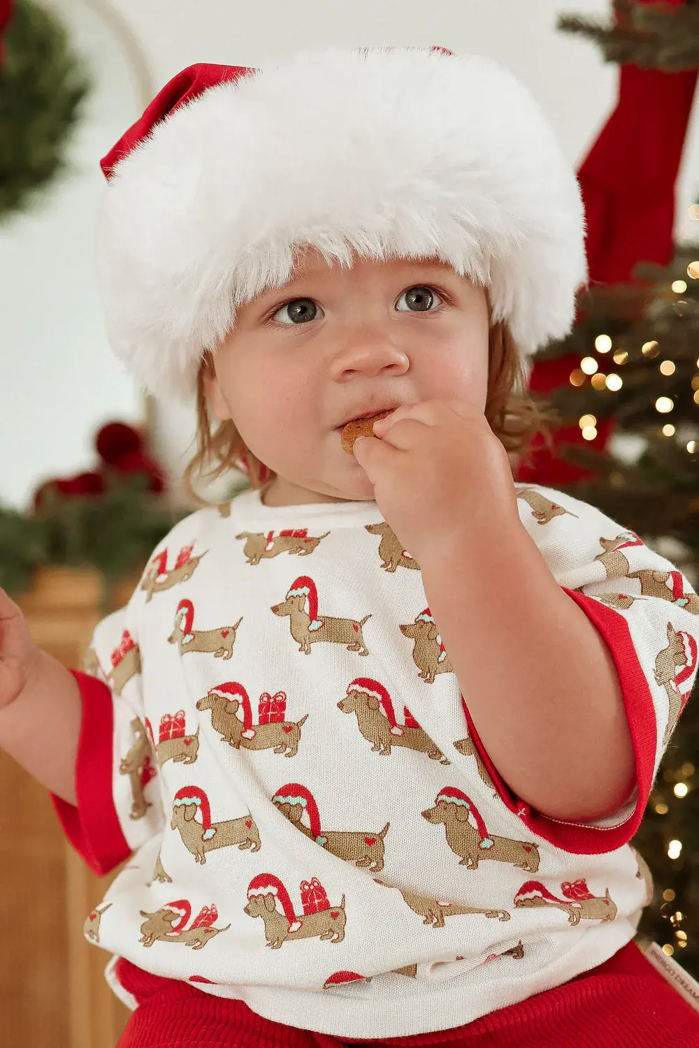 Indigo Dreams Indigo Dreams Santa Paws Tee