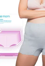 Frida Mom Frida Mom Boyshort Disposable Postpartum Underwear