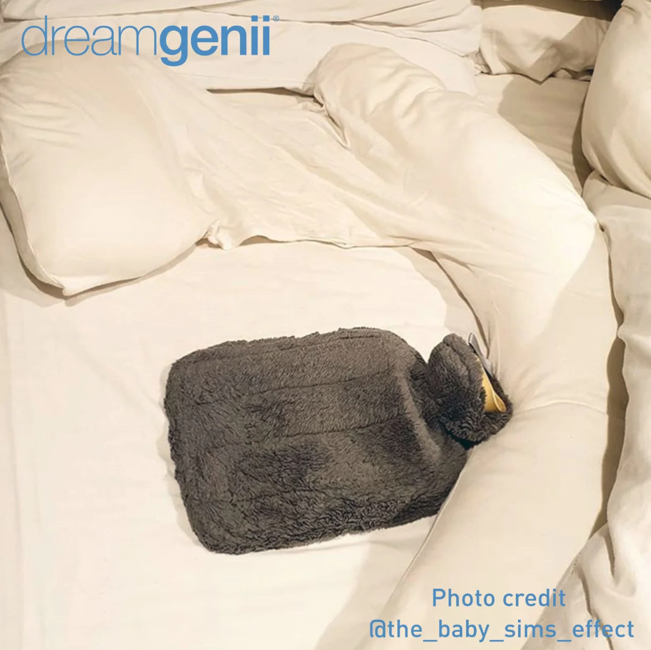 Dreamgenii Dreamgenii Pregnancy Support & Feeding Pillow