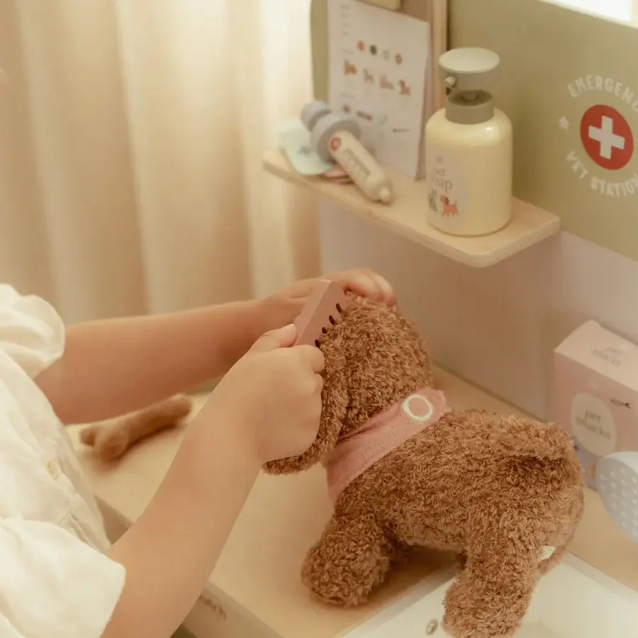 Little Dutch Little Dutch Vet Set