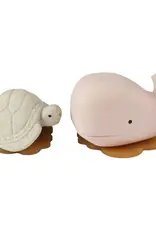 Hevea Hevea - Squeeze N Splash Toy - Whale (Champagne Pink) and Turtle (Vanilla) - Gift Set