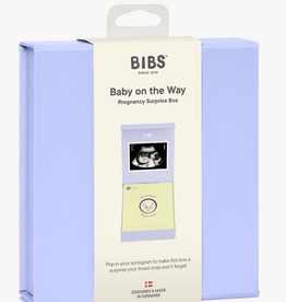 BIBS BIBS Baby on the Way Box
