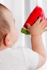 Living Textiles Living Textiles 2 Pack Mini Market Brunch Stroller Toys - Watermelon & Blueberry