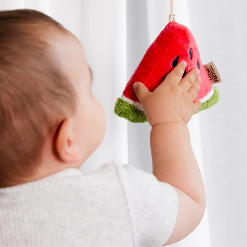 Living Textiles Living Textiles 2 Pack Mini Market Brunch Stroller Toys - Watermelon & Blueberry