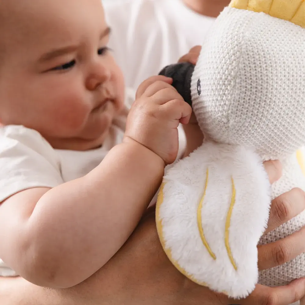 Living Textiles Living Textiles Australiana Knitted Toys - Colin the Cockatoo