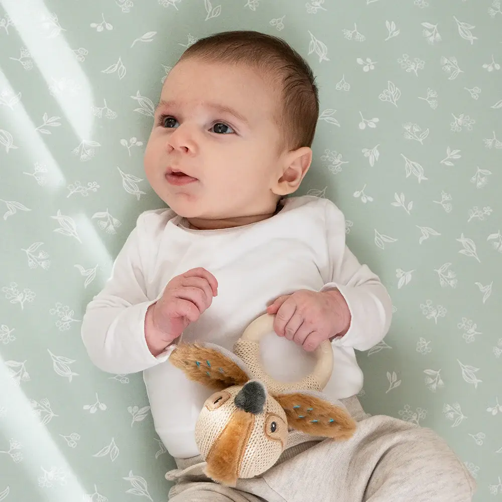 Living Textiles Living Textiles 2 Pack Organic Bedside Sleeper Fitted Sheet - Australiana