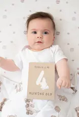 Living Textiles Living Textiles Milestone Cards - Cuddly Bear