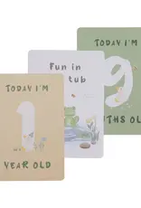 Living Textiles Living Textiles Milestone Cards - Goosey Goosey