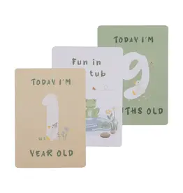 Living Textiles Living Textiles Milestone Cards - Goosey Goosey