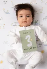 Living Textiles Living Textiles Milestone Cards - Goosey Goosey