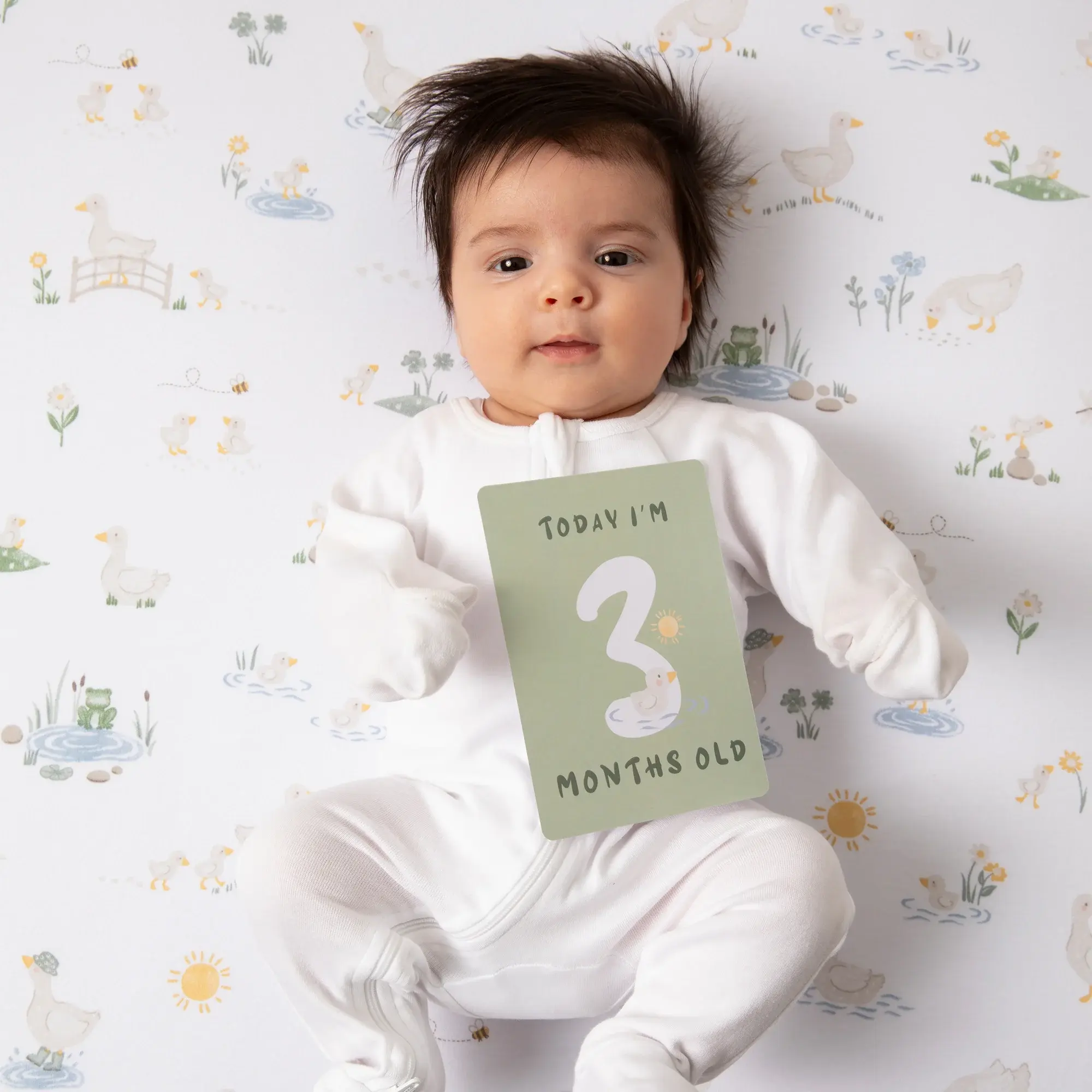 Living Textiles Living Textiles Milestone Cards - Goosey Goosey