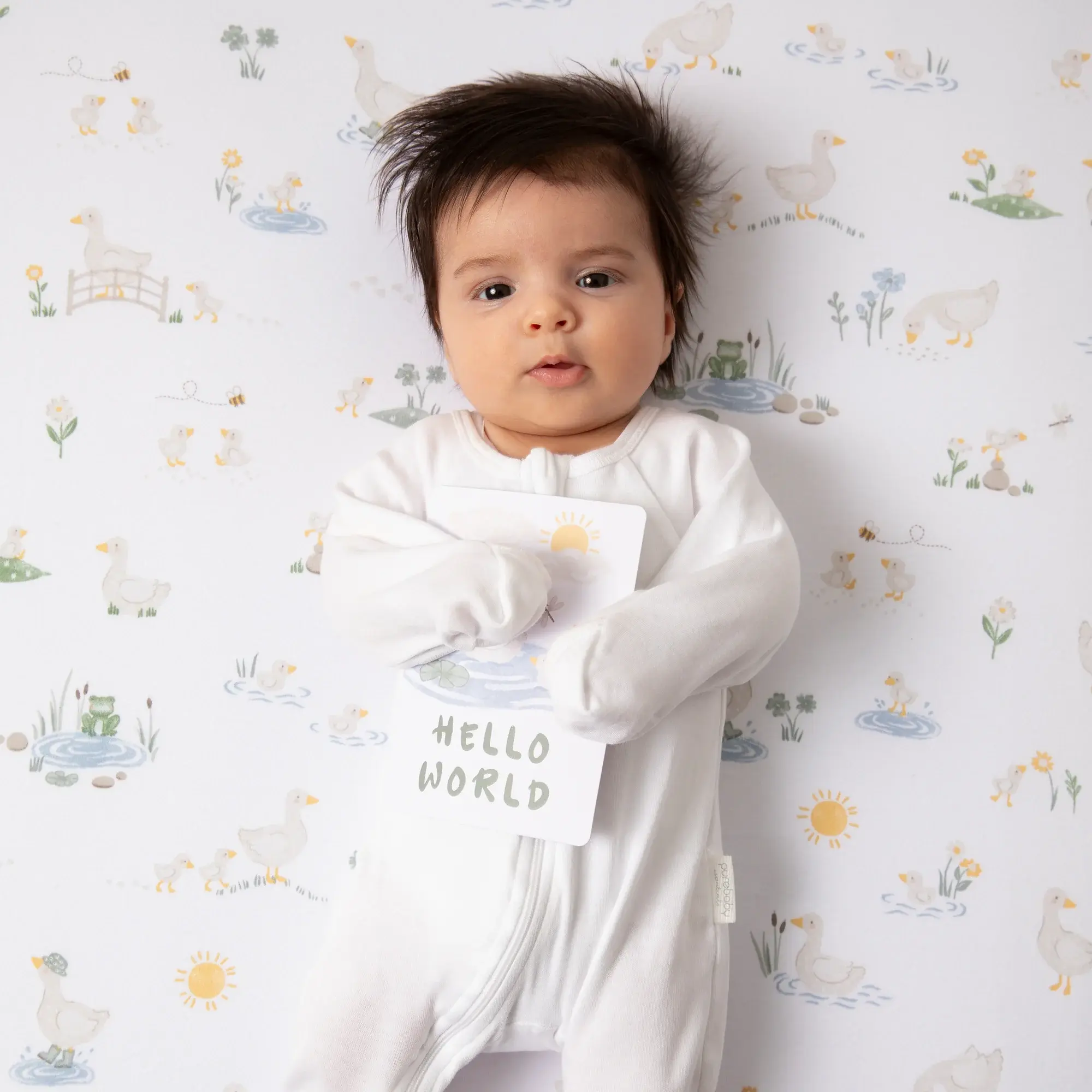 Living Textiles Living Textiles Milestone Cards - Goosey Goosey