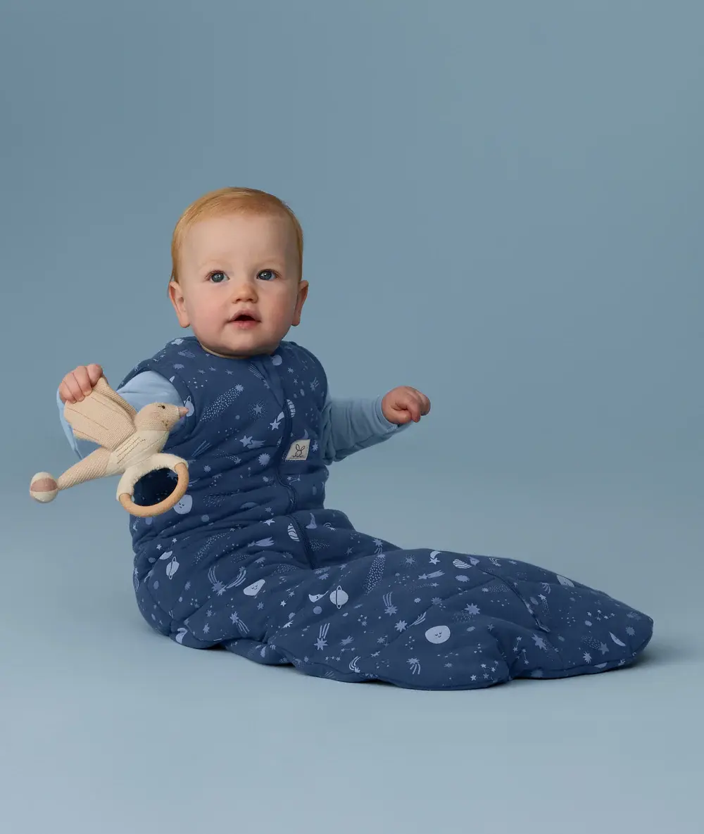 ErgoPouch ErgoPouch Sleeping Bag 2.5 TOG Starbeam