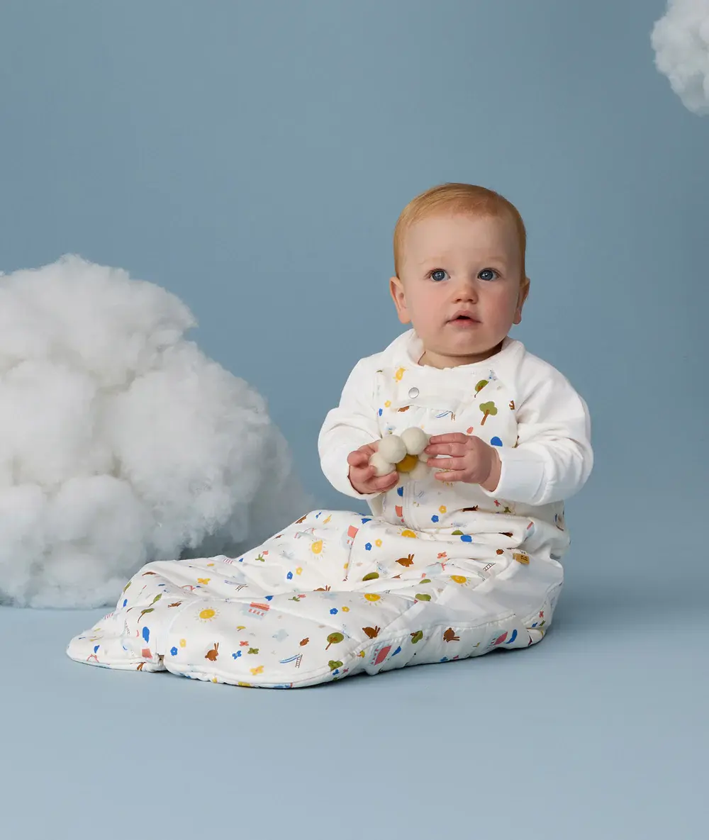 ErgoPouch ErgoPouch Sleep Suit Bag 2.5 TOG Daydream