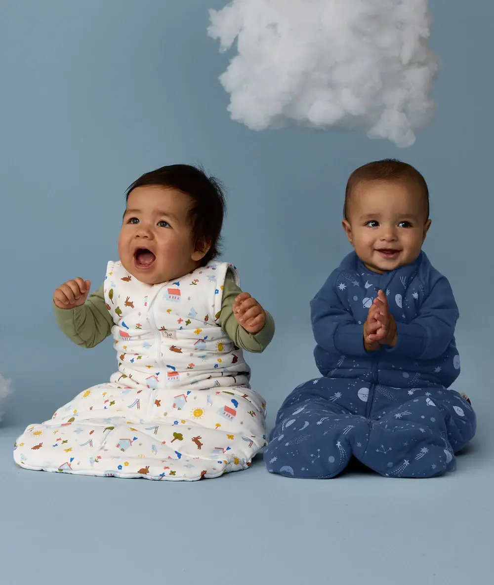 ErgoPouch ErgoPouch Sleeping Bag 2.5 TOG Daydream