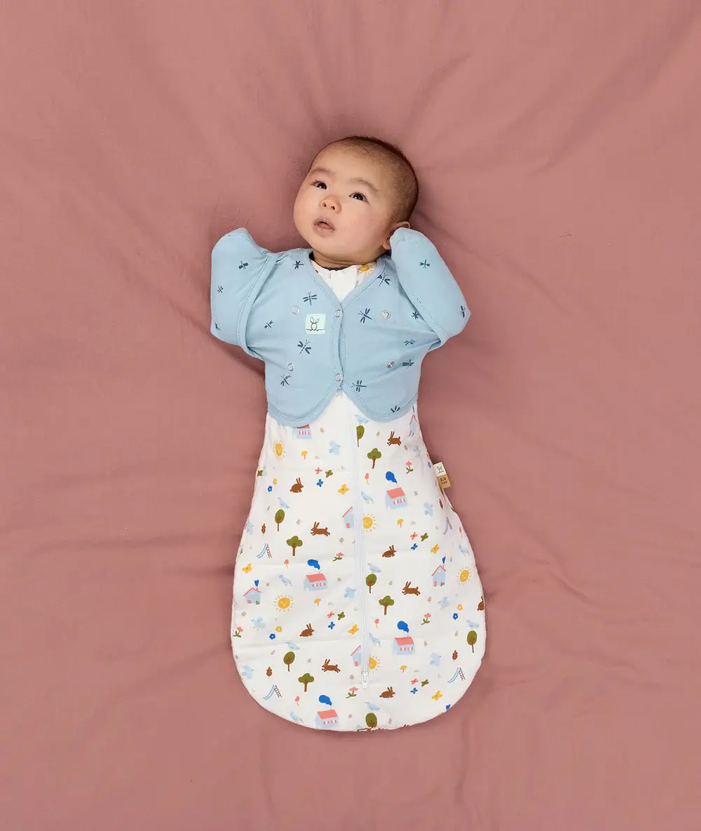 ErgoPouch ErgoPouch Cocoon Swaddle Bag 2.5 TOG Daydream