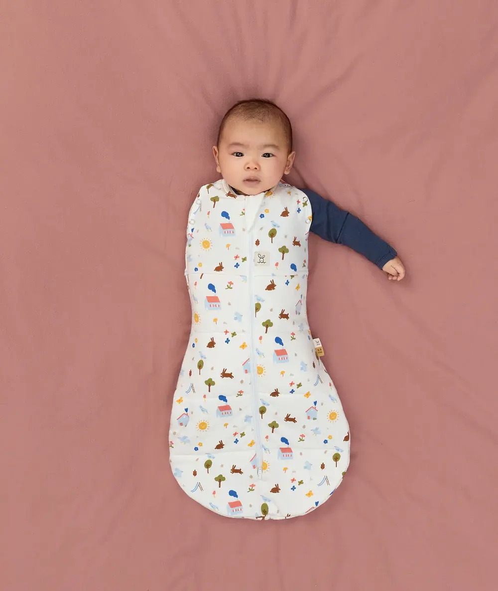 ErgoPouch ErgoPouch Cocoon Swaddle Bag 3.5 TOG Daydream