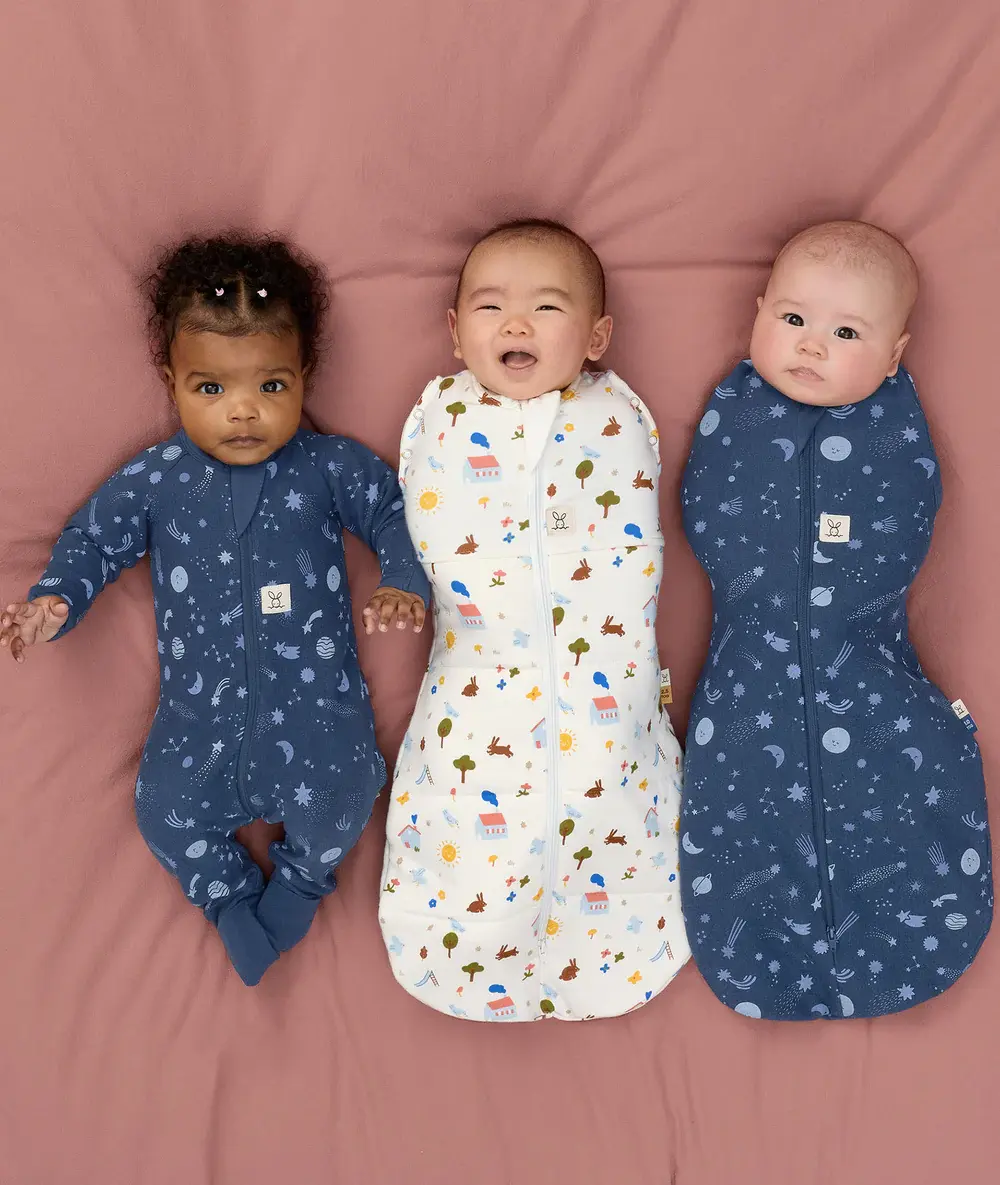 ErgoPouch ErgoPouch Cocoon Swaddle Bag 1.0 TOG Daydream