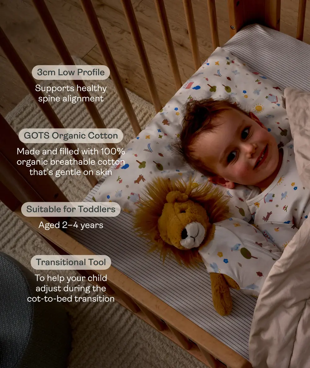 ErgoPouch ErgoPouch Organic Toddler Pillow and Case Daydream