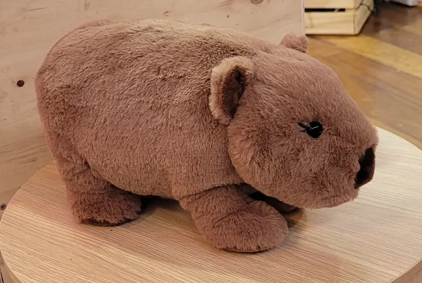 Petite Vous Petite Vous Walter the Wombat Soft Toy