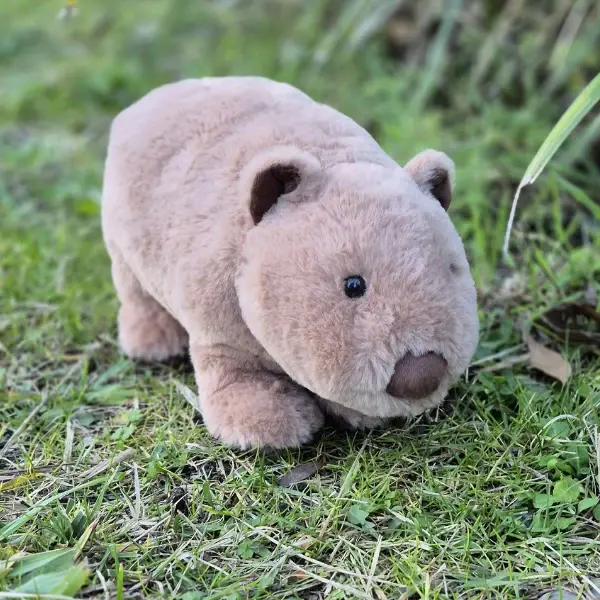 Petite Vous Petite Vous Walter the Wombat Soft Toy