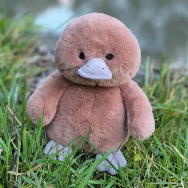 Petite Vous Petite Vous River the Platypus